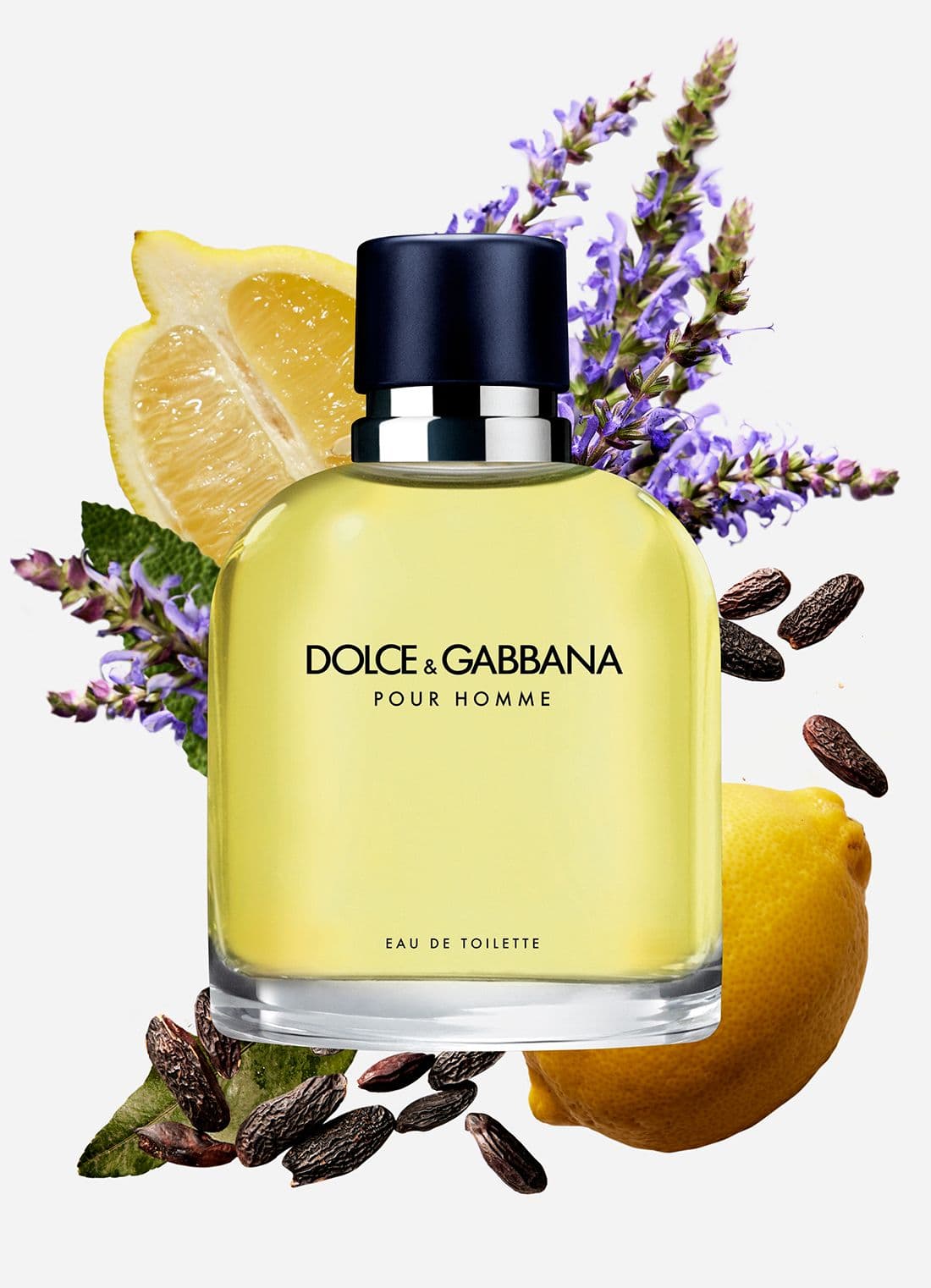 Dolce & Gabbana