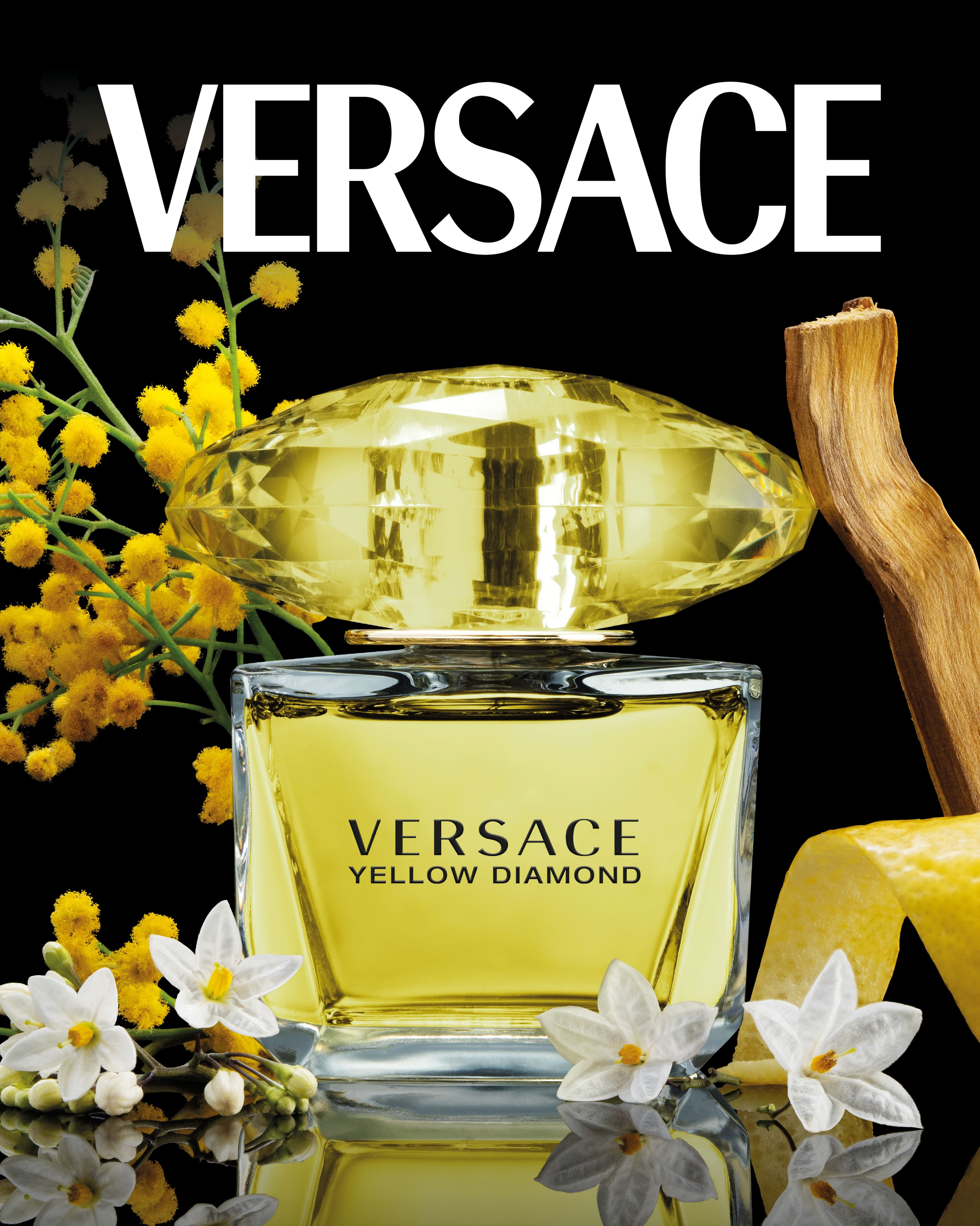 Versace Ingredients